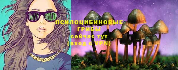 spice Белокуриха