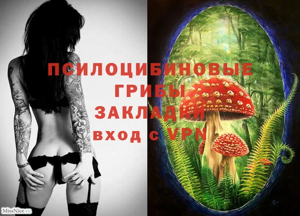 spice Белокуриха